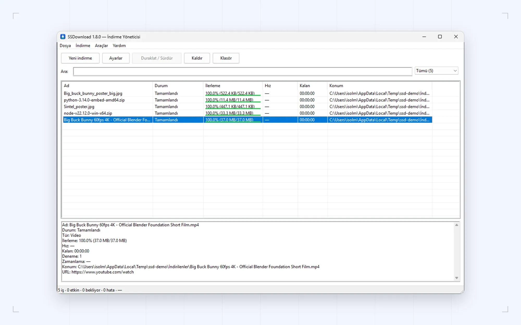 Download manager