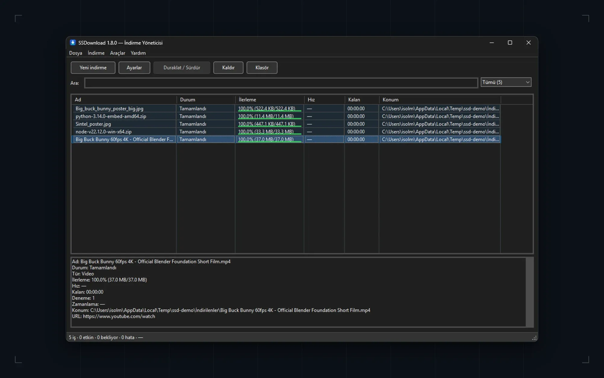 Download manager